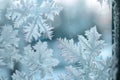 Ethereal Frost Patterns on Winter Windowpane Royalty Free Stock Photo