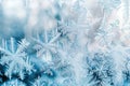 Ethereal Frost Patterns on Winter Windowpane Royalty Free Stock Photo