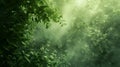 Ethereal Green Background with Foliage and Light Streams