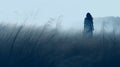 Ethereal Horror: Silhouette Woman Walking In Tall Grass