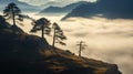 Ethereal Horse Riding: Stunning Landscapes With Giant Trees And Fog