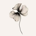 Ethereal Illustration Of A Minimalist Pansy Flower