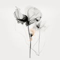 Ethereal Illustrations: Minimalistic Black And White Flowers