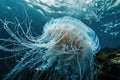 Ethereal Jellyfish Floating in the Deep Blue Sea