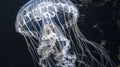 Ethereal Jellyfish Gliding through Dark Ocean Waters