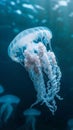 Ethereal jellyfish gliding through the deep blue ocean