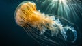 Ethereal Jellyfish Gliding Through Sunlit Waters