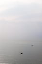 An ethereal Lake Garda morning is brought to life with a swan grace and a seagull flight through the gentle mist, creating a Royalty Free Stock Photo