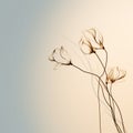 Ethereal Minimalism: Delicate Still-life Of Three Flowers