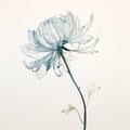 Ethereal Minimalism: Detailed Chrysanthemum Drawing With Muted Colors