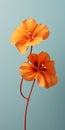 Ethereal Orange Flowers: Photorealistic 3d Model For Minimalist Mobile Wallpaper