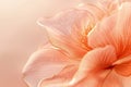 Ethereal peach flower on gradient background. Neural network AI generated