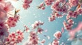 Ethereal pink sakura blossoms against a clear spring sky, with p