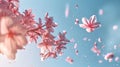 Ethereal pink sakura blossoms against a clear spring sky, with p