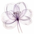 Ethereal Purple Flower: Delicate 3d Crocus X-ray Illustration