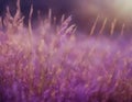 Ethereal Purple Meadow at Twilight