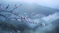 Pristine cherry blossoms emerge on a branch, with a soft mist enshrouding distant mountains. Generative Ai Royalty Free Stock Photo