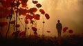 Ethereal Silhouette Amidst Red Poppies: A Nature-inspired Camouflage