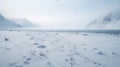 Ethereal Snowy Path In A Cold Valley A Dreamy Post-apocalyptic Landscape