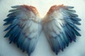 Ethereal Spread of Feathered Wings in Soft Light, Capturing the Essence of Freedom and Grace Created With Generative AI Technology Royalty Free Stock Photo