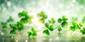 Ethereal St Patricks Day Macro Clover Bloom with Long Exposure Light Trails Royalty Free Stock Photo