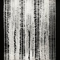 Ethereal Trees: A Conceptual Embroidery Of White Lace On Black Background