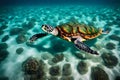 An ethereal view of a green sea turtle gracefully gliding through the crystal-clear waters of a coral-rich, Pacific atoll