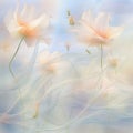 Ethereal Weavings in a Serene and Tranquil Scene Royalty Free Stock Photo