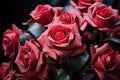 Ethereal whispers of love adorn the morning mist as red roses bloom in serenity, valentine, dating and love proposal image