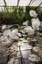 Ethereal White Persian Pond by artist Dale Chihulyat Kew Gardens.
