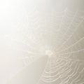 Ethereal White Spider Web: Realistic And Cryptidcore Inspired