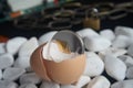 Ethereum coin in broken eggshell Royalty Free Stock Photo