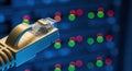 Ethernet cable connector with blurred network server lights in background Royalty Free Stock Photo