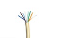 Ethernet cable for a local network on white Royalty Free Stock Photo