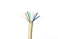 Ethernet cable for a local network on white Royalty Free Stock Photo