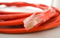 Ethernet Cable & Plug Royalty Free Stock Photo