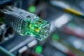 Ethernet cable plugged into network switch glowing with green light representing high-speed internet connection and modern data Royalty Free Stock Photo