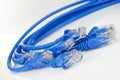 Ethernet Cables Royalty Free Stock Photo