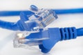 Ethernet Cables Royalty Free Stock Photo