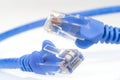 Ethernet Cables Royalty Free Stock Photo