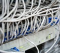 Ethernet cables connected to computer internet server Royalty Free Stock Photo