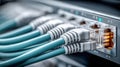 Ethernet cables connected to a network switch, representing data transfer and connectivity. Royalty Free Stock Photo