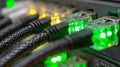 Ethernet cables connecting to network switch with green lights Royalty Free Stock Photo