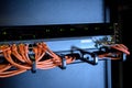 Ethernet cables of internet switch