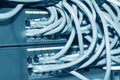 Ethernet Hub Royalty Free Stock Photo