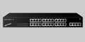 Ethernet switch with 28 ports, including four backbones. The name and emblem are invented.