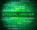 Ethical Hacker Tracking Server Vulnerability 2d Illustration