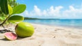 Ethical Travel: Afro-caribbean Influenced Guava Photo On Sandy Beach