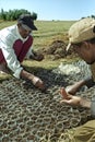 Ethiopian men plant tree seeds in forestry project Royalty Free Stock Photo