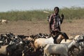 Ethiopian Afar Shepherd